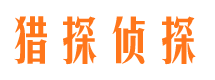 确山市婚姻调查